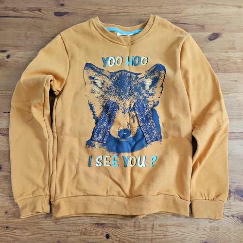 Kids sweatshirt pullover - kids,