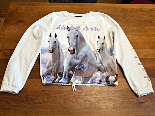 Hier ein sweat shirt - hier,